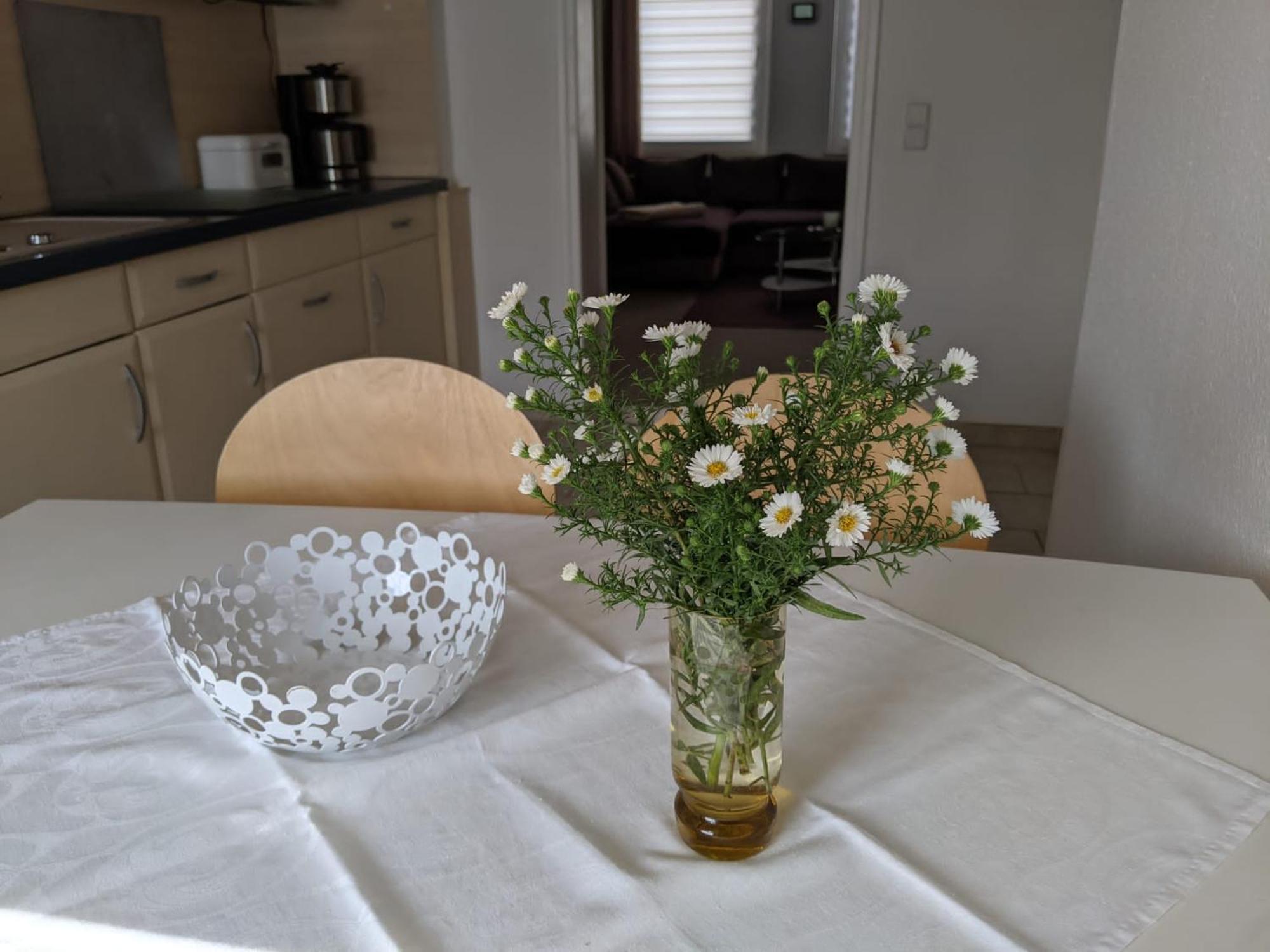 Ferienwohnung Am Ueckerpark Ueckermünde Eksteriør billede